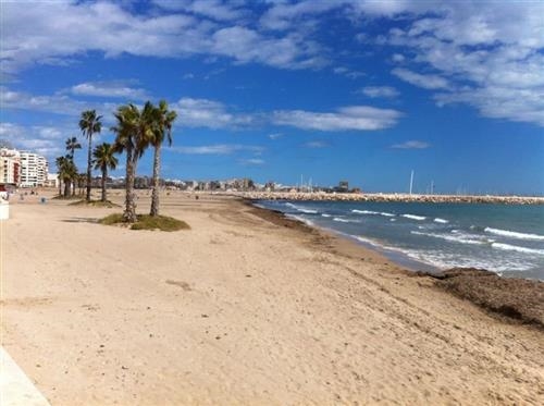 El Ayuntamiento de Torrevieja reabrirá sus playas durante la semana del lunes 8 al domingo 14 de junio, después de poner en marcha todas las medidas de seguridad e higiene