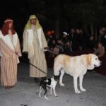 Cabalgata de los Reyes Magos en Orihuela (5 enero 2020)_28