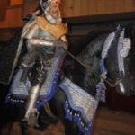 Entrada Embajada Moros Viejos Aben Mohor Orihuela (21 julio 2018)_81