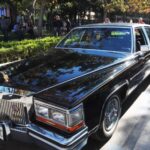 II Feria Intercultural, organizada por la Concejalía de Inmigración, en Orihuela (9 al 11 noviembre 2018)_46