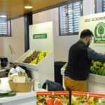 Inauguración del I Symposium Internacional del Sector Agroalimentario de la Vega Baja en Orihuela (18 al 19 noviembre 2016)_5