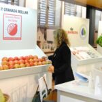 Inauguración del I Symposium Internacional del Sector Agroalimentario de la Vega Baja en Orihuela (18 al 19 noviembre 2016)_7