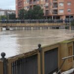 Río Segura entre el Puente Viejo hasta la pasarela del campo de fútbol de Los Arcos pasando por el Puente Nuevo (19 diciembre 2016)_22