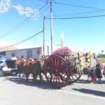 Romería del Pilar 2018, con asistentes vestidos de maños, en las fiestas patronales en honor a la Virgen del Pilar, de La Campaneta de Orihuela (7 octubre 2018)_1