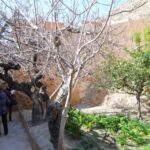 Ruta Monumental, dentro de las Rutas Turísticas de Invierno de Orihuela (16 febrero 2019)_14