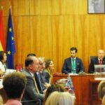 Sesión del pleno de investidura para la constitución de la nueva Corporación Municipal del Ayuntamiento en Orihuela (15 junio 2019)_12