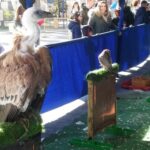 XXI Mercado Medieval en Orihuela (1 al 3 febrero 2019)_10