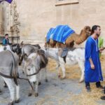 XXI Mercado Medieval en Orihuela (1 al 3 febrero 2019)_46