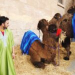 XXI Mercado Medieval en Orihuela (1 al 3 febrero 2019)_47