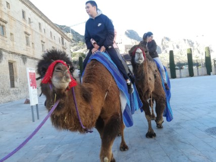 XXI Mercado Medieval en Orihuela (1 al 3 febrero 2019)_50