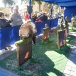 XXI Mercado Medieval en Orihuela (1 al 3 febrero 2019)_9