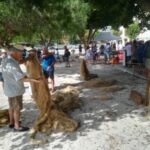 XXXVIII Exhibición de la Grama e Hilado del Cáñamo en las fiestas patronales en honor a la Virgen de la Salud y San Miguel en Redován (2 septiembre 2018)_11