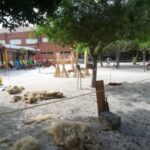 XXXVIII Exhibición de la Grama e Hilado del Cáñamo en las fiestas patronales en honor a la Virgen de la Salud y San Miguel en Redován (2 septiembre 2018)_1