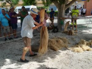 El Consell aprueba la declaración de la cultura del cáñamo de Callosa de Segura como Bien de Interés Cultural Inmaterial El Consell aprueba la declaración de la cultura del cáñamo de Callosa de Segura como Bien de Interés Cultural Inmaterial