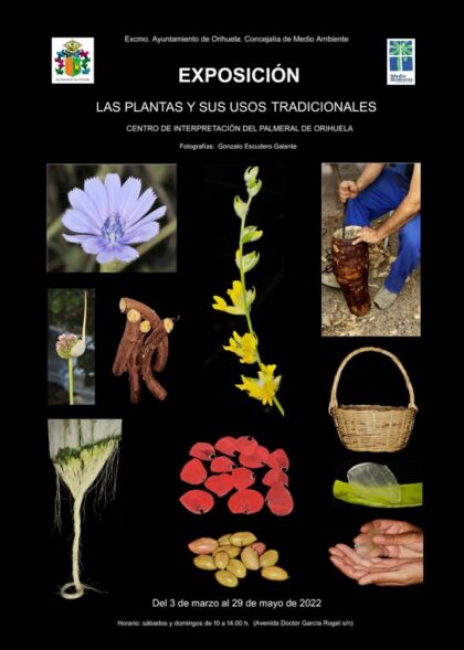 Orihuela, evento cultural: Exposición de fotografías 'Las plantas y sus usos tradicionales', con instantáneas de Gonzalo Escudero, organizada por la Concejalía de Medio Ambiente
