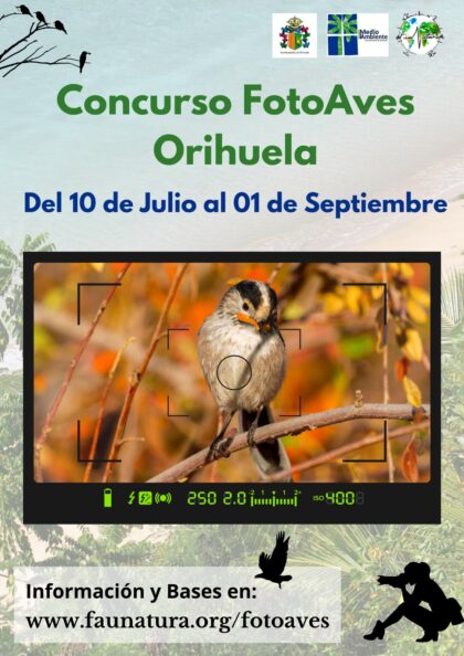 Orihuela, evento: Concurso de fotografía de aves 'FotoAves' en el término municipal oriolano para participantes de cualquier edad, organizado por 'FauNatura' y la Concejalía de Medio Ambiente