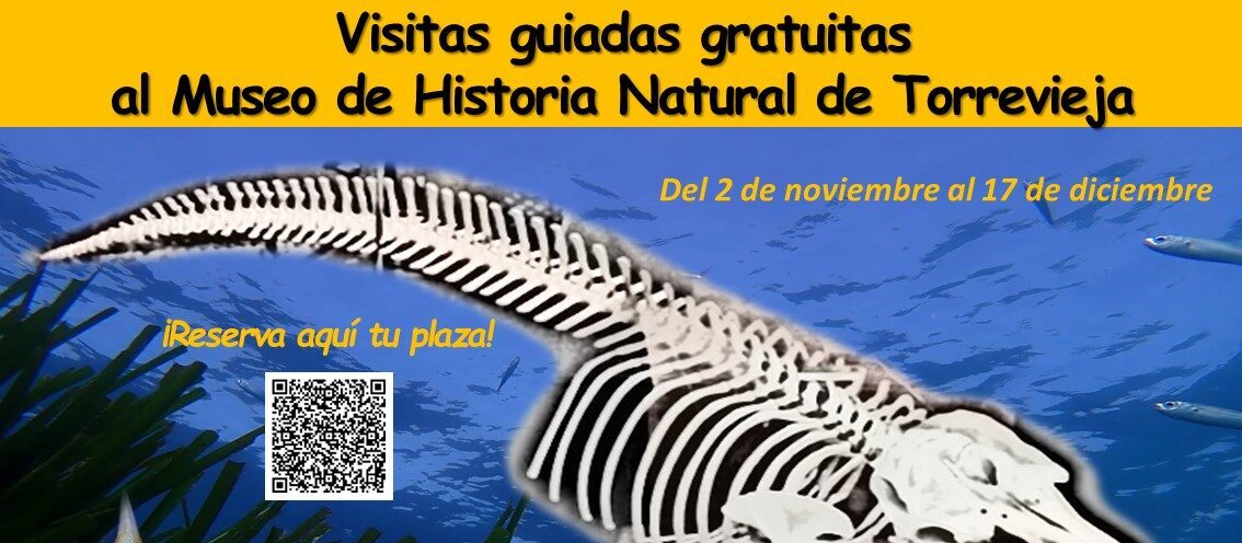 Ars Creatio reabre el Museo de Historia Natural con 50 visitas guiadas gratuitas