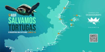 Orihuela se suma a la campaña de sensibilización “Tortugas en el Mediterráneo”