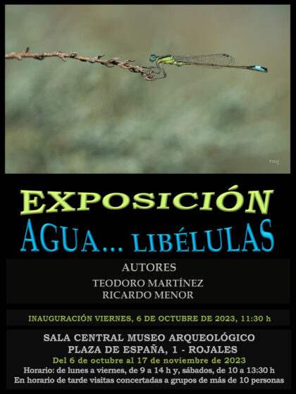 Rojales, evento: Exposición fotográfica 'Agua...libélulas' sobre el universo de las libélulas, organizada por la Concejalía de Cultura y la Cátedra 'Arzobispo de Loazes' de la UA