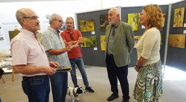 Teodoro Martínez y Ricardo Menor exponen 'Agua...libélulas' en el Museo Arqueológico de Rojales