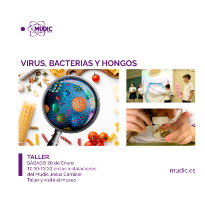 Desamparados de Orihuela, evento: Taller 'Virus, bacterias y hongos', organizado por el Museo de Ciencias MUDIC 'Jesús Carnicer' de la Universidad Miguel Hernández (UMH)