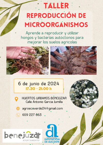 Benejúzar, evento: Inscripción al taller 'Reproducción de microorganismos', organizado por el Ayuntamiento