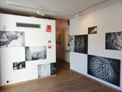 La exposición 'Casa Cebolla' redescubre el hogar de Miguel Hernández y la huella que dejó el poeta en la vivienda