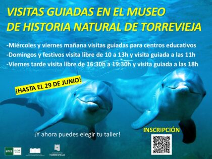 El Museo de Historia Natural abre este domingo con motivo del Día Internacional de los Museos