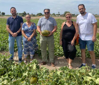 Dolores celebra el inicio de la temporada del melón local con su tradicional primer corte