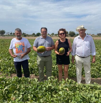 Dolores celebra el inicio de la temporada del melón local con su tradicional primer corte