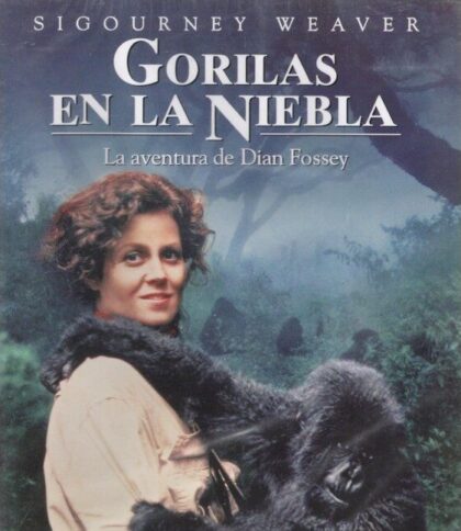 El ciclo de proyecciones 'Cine crítico' de la UNED en Torrevieja comienza este martes con 'Gorilas en la niebla'