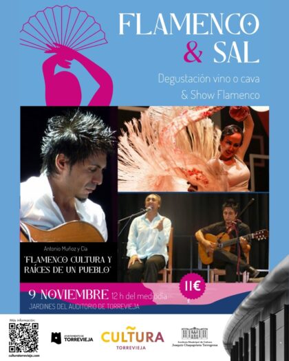 Fin de semana con el concierto de Ara Malikian, tributos a Michael Jackson y a 'Vaiana', el humor de David Navarro y la nueva edición de Flamenco & Sal