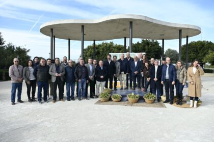 La Vega Baja inaugura la temporada de alcachofa con un crecimiento del 10% de la superficie de cultivo 