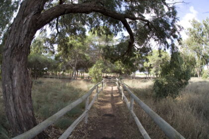 Comienza el programa de Rutas Ecoturísticas guiadas 2026 en el Parque Natural de las Lagunas de La Mata y Torrevieja y en el paraje natural Molino del Agua
