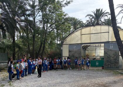 Medio Ambiente continúa con el programa ‘Crece con tu Palmeral’ para acercar a los escolares su valor ambiental y patrimonial Medio Ambiente continúa con el programa ‘Crece con tu Palmeral’ para acercar a los escolares su valor ambiental y patrimonial