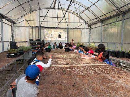 Medio Ambiente continúa con el programa ‘Crece con tu Palmeral’ para acercar a los escolares su valor ambiental y patrimonial Medio Ambiente continúa con el programa ‘Crece con tu Palmeral’ para acercar a los escolares su valor ambiental y patrimonial