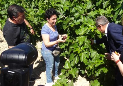 Aurora Torres presenta el showcooking 'De higos a brevas' este viernes junto a la Asociación de Amas de Casa de Albatera