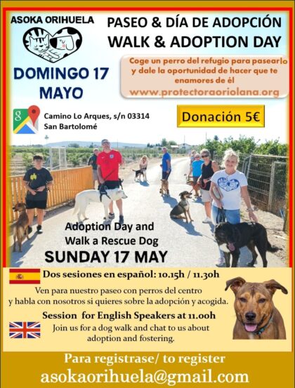 Asoka Orihuela organiza una nueva jornada de paseo y adopción para dar visibilidad a los perros del refugio