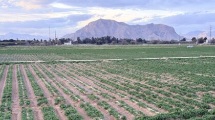 CONVEGA reta a contar la esencia de la Vega Baja del Segura en solo 20 segundos