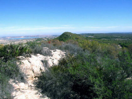 El Consell aprueba la declaración del nuevo Parque Natural la Sierra de Escalona y la Dehesa de Campoamor El Consell aprueba la declaración del nuevo Parque Natural la Sierra de Escalona y la Dehesa de Campoamor